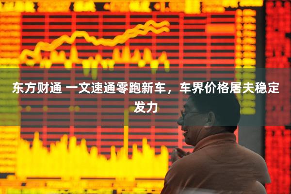 东方财通 一文速通零跑新车，车界价格屠夫稳定发力