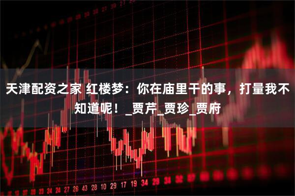 天津配资之家 红楼梦：你在庙里干的事，打量我不知道呢！_贾芹_贾珍_贾府