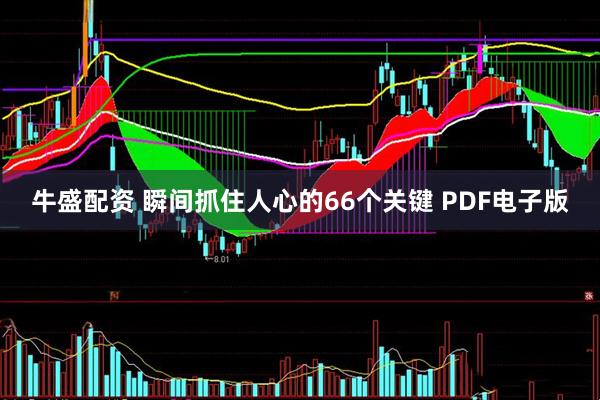 牛盛配资 瞬间抓住人心的66个关键 PDF电子版