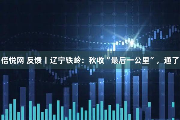 倍悦网 反馈丨辽宁铁岭：秋收“最后一公里”，通了